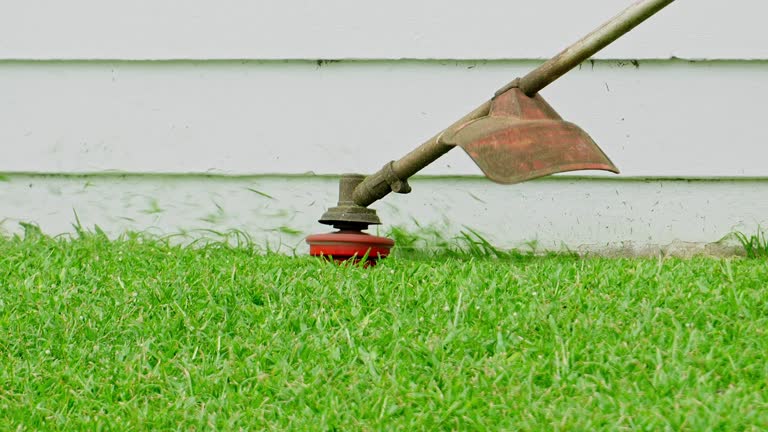 Best Lawn Watering Services  in Thatcher, UT